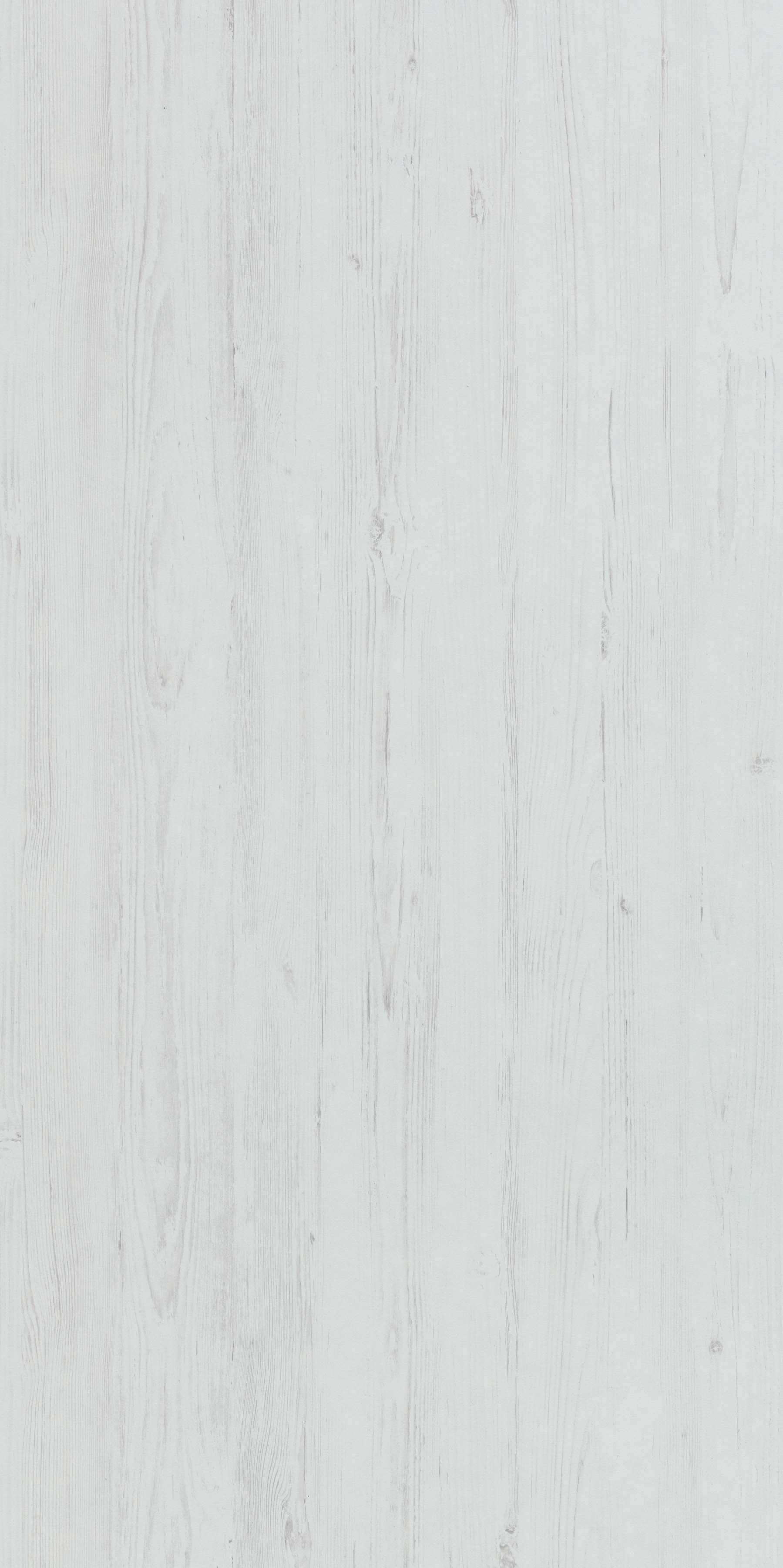 Sosna Anderson Biała R55011 RU