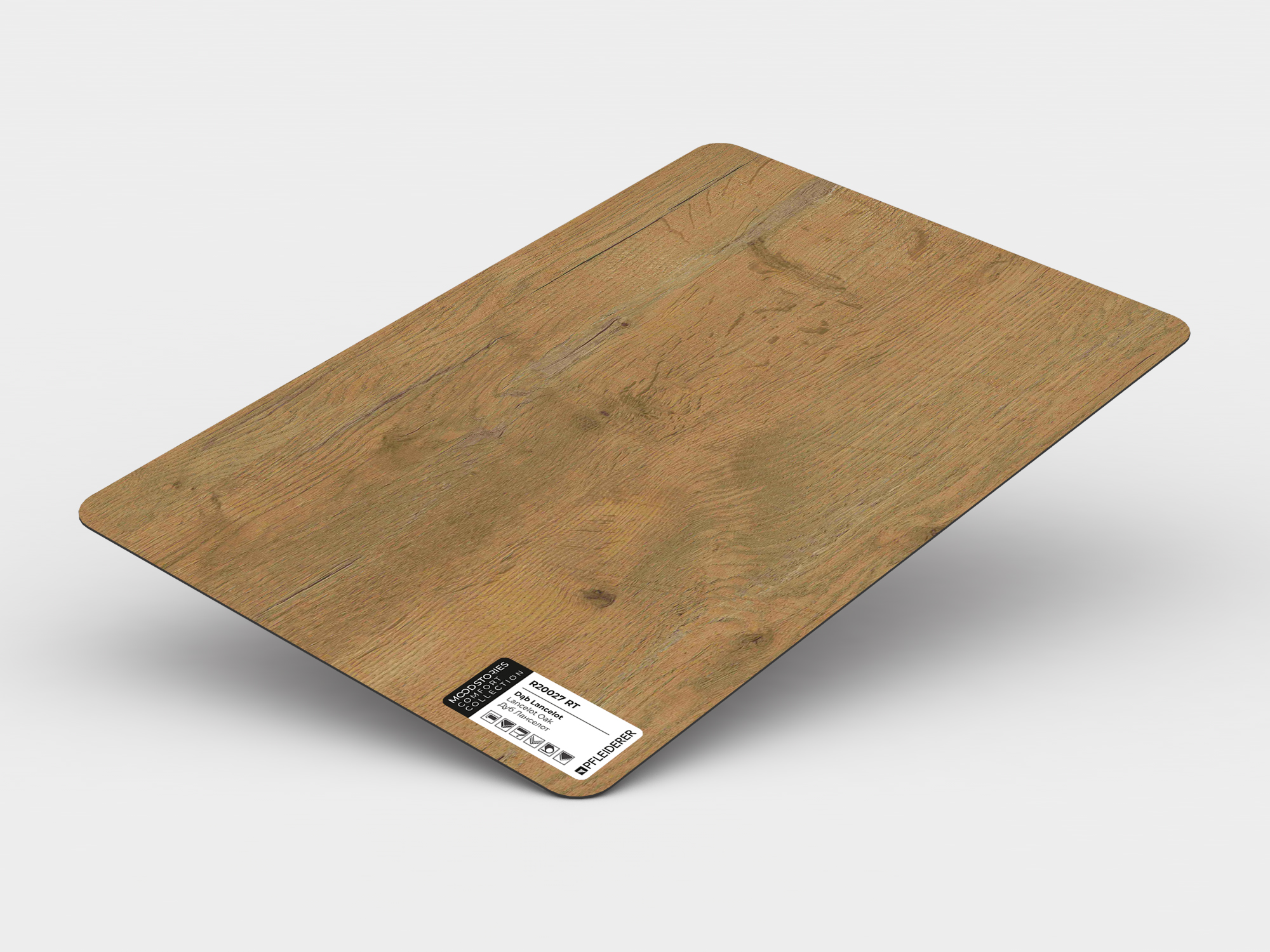 Dąb Lancelot R20027 RT