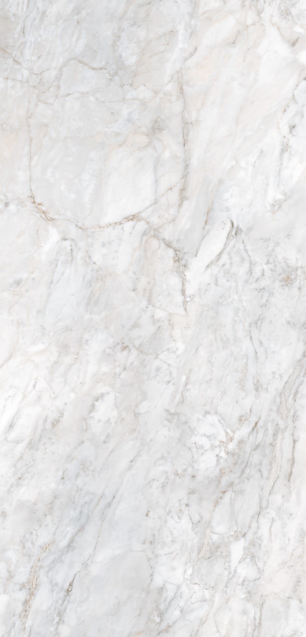 Marmur Calacatta S63054 VV