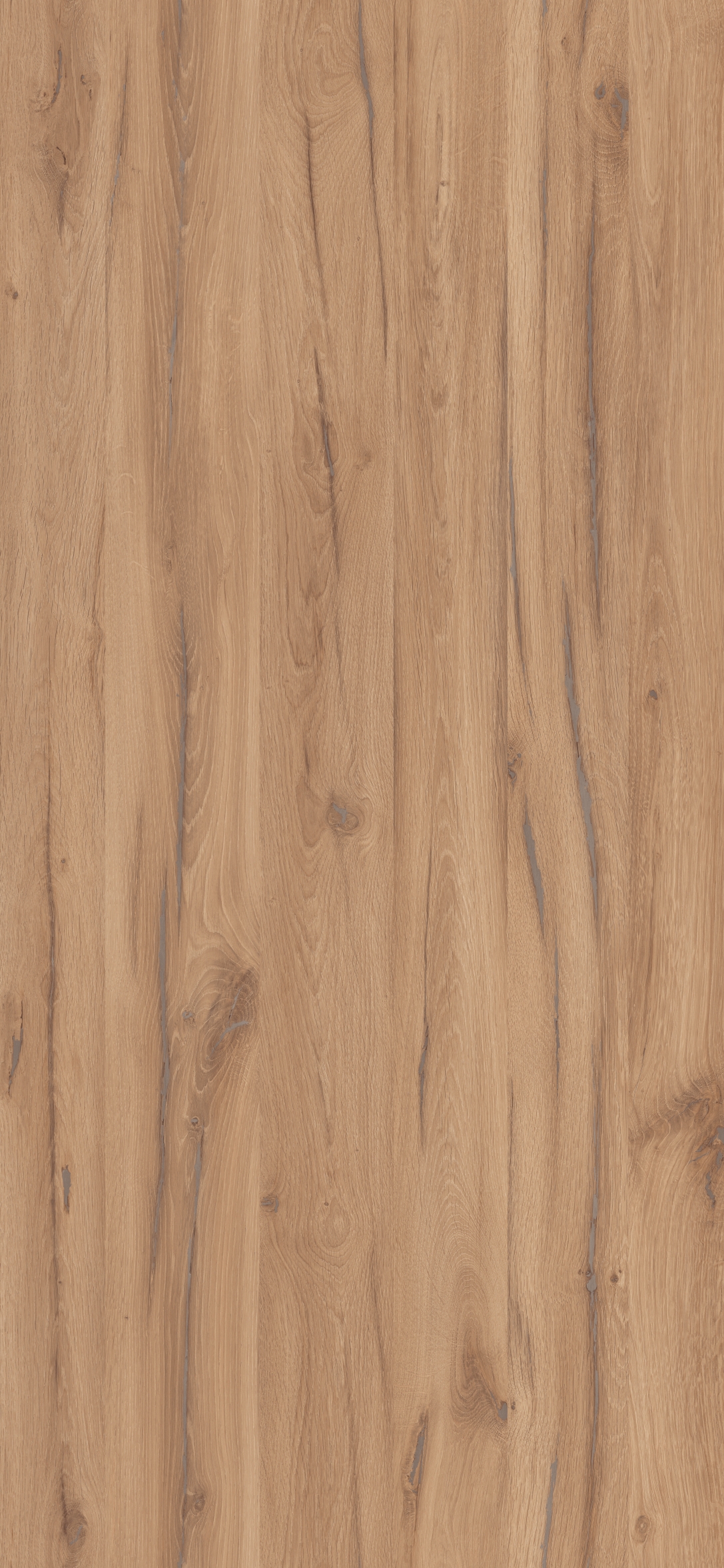 Dąb Estana Jasny R20367 NY