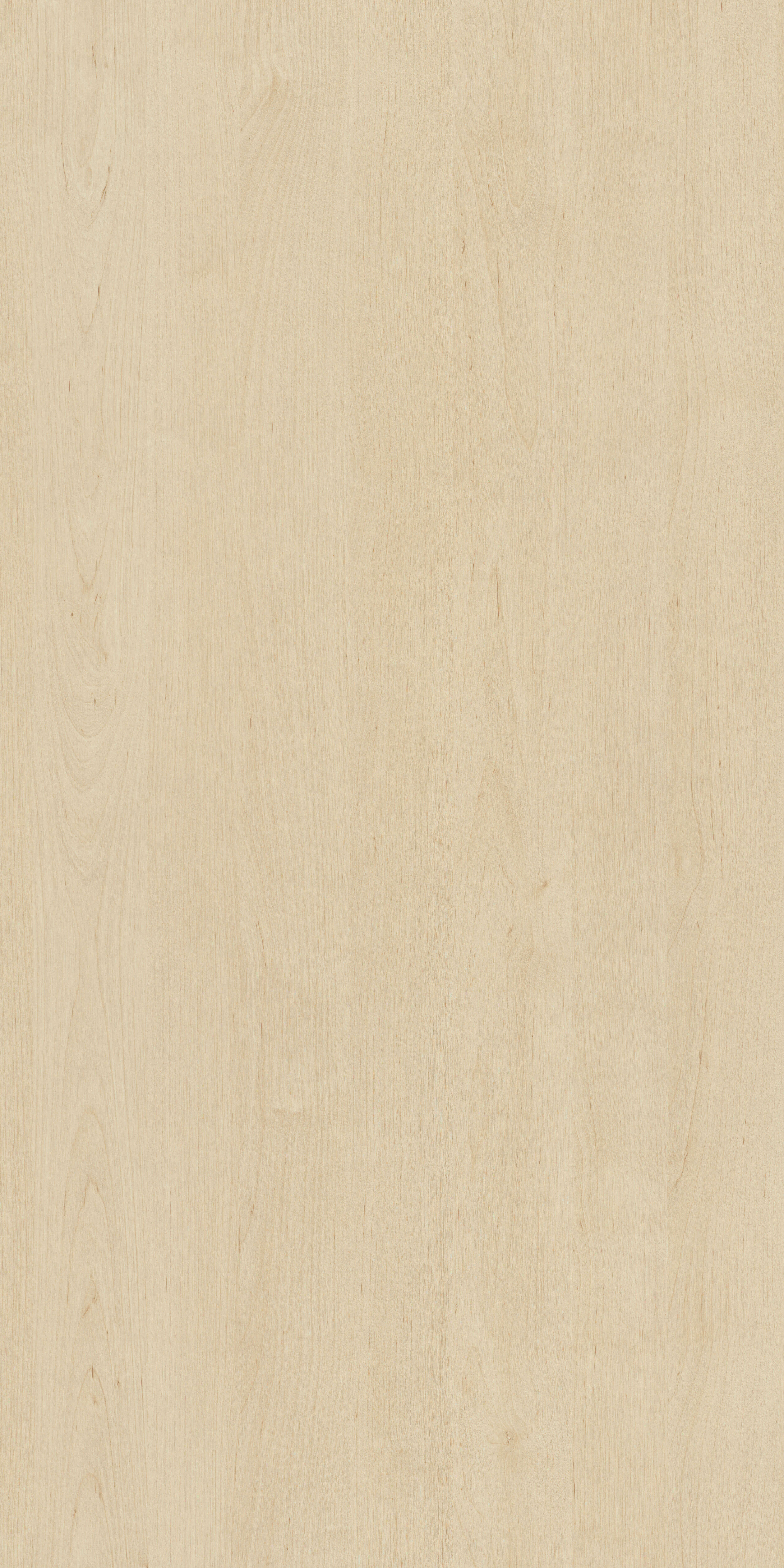 Brzoza Lund R35018 NW