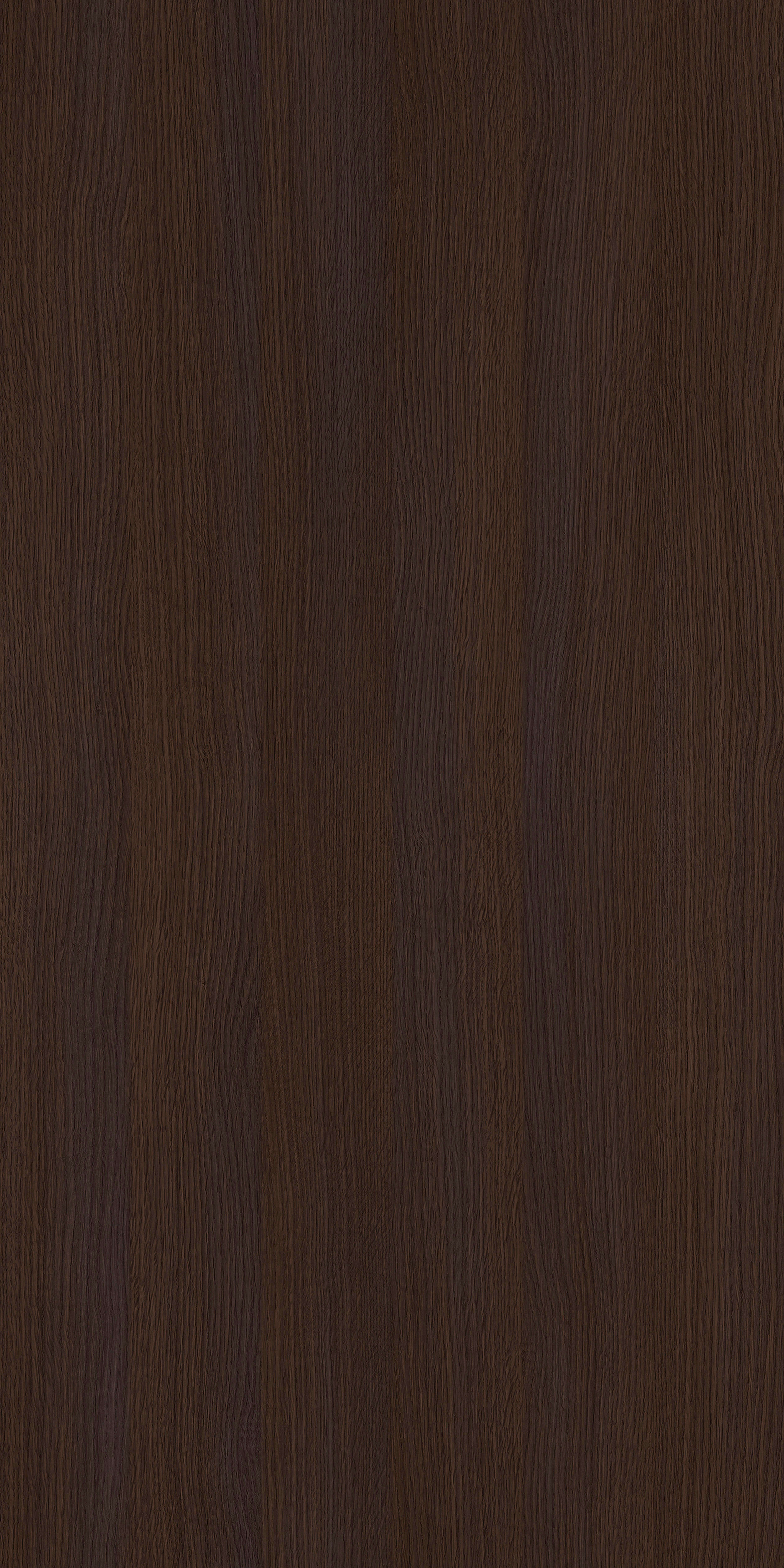 Dąb Ciemny R20033 MO