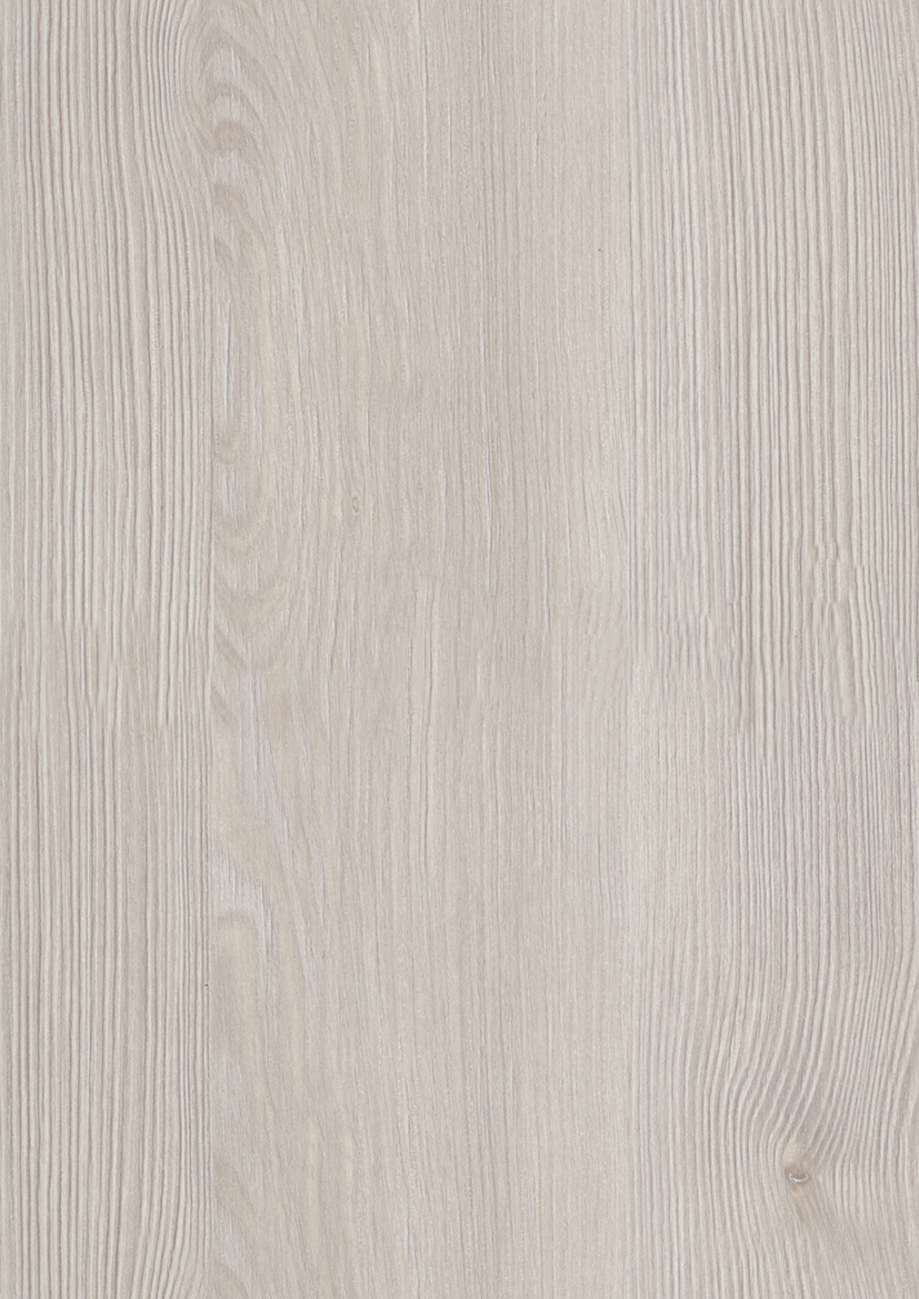 Sosna Fano Biała R55006 RU