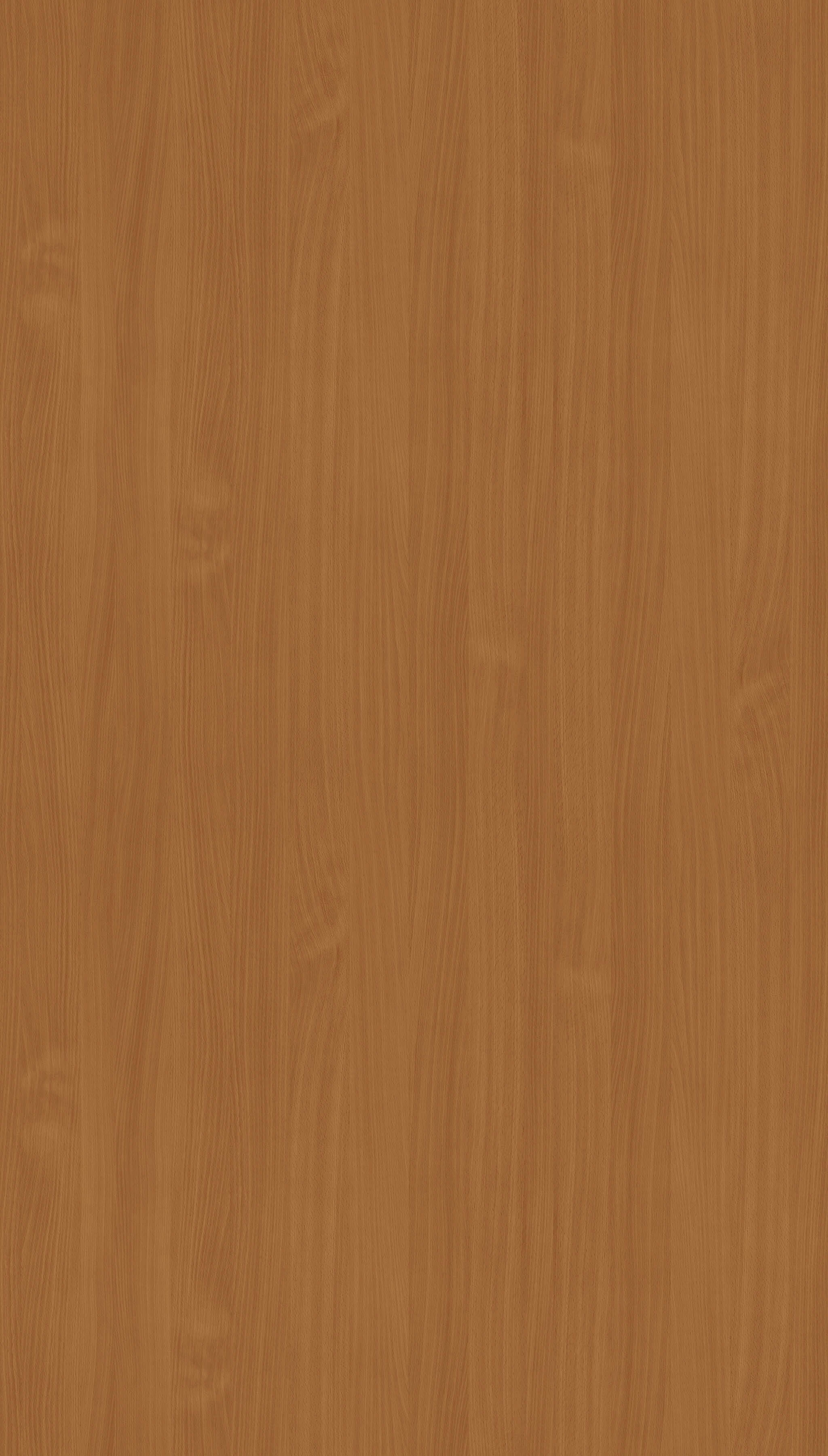 Buk Bawaria ciemny R24047 MO