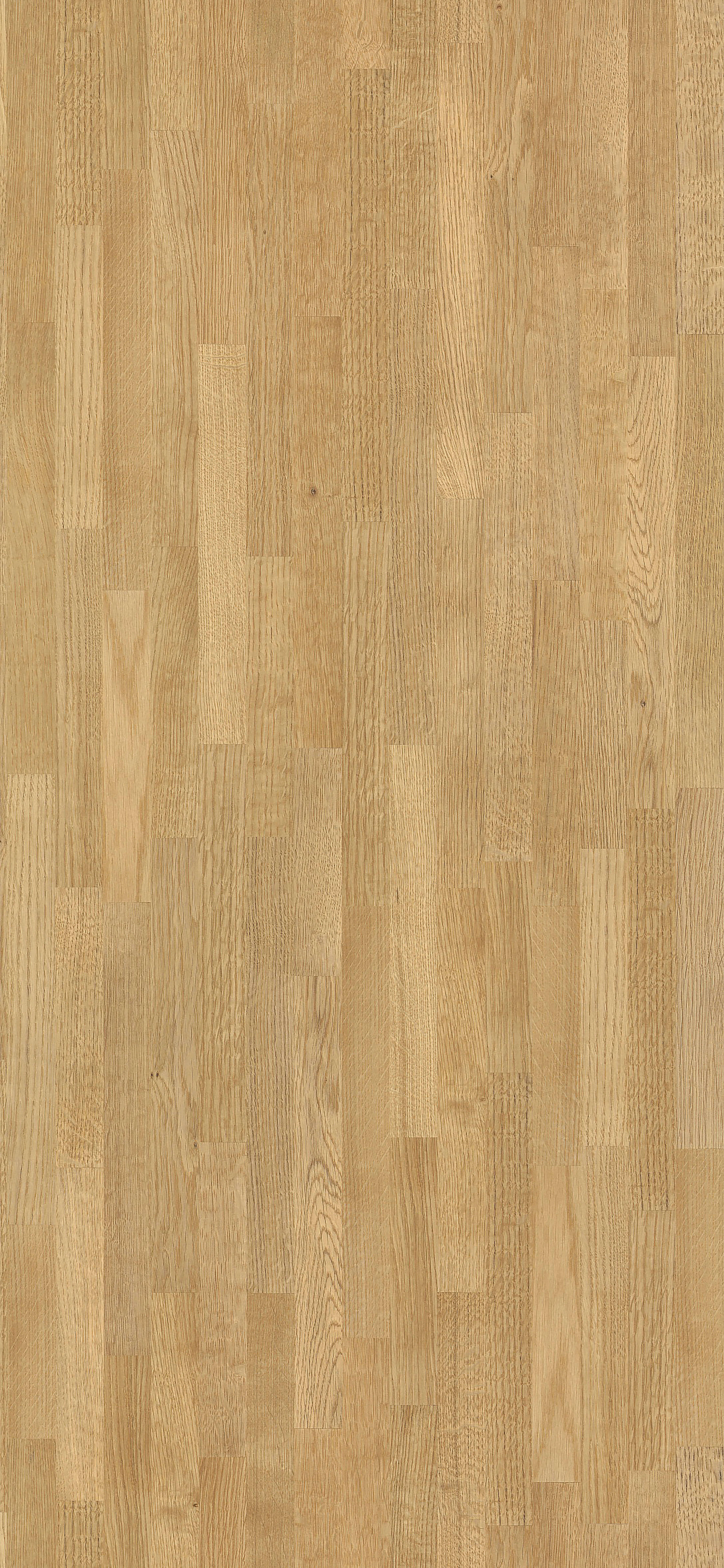 Dąb złocisty Klepka R20302 RT