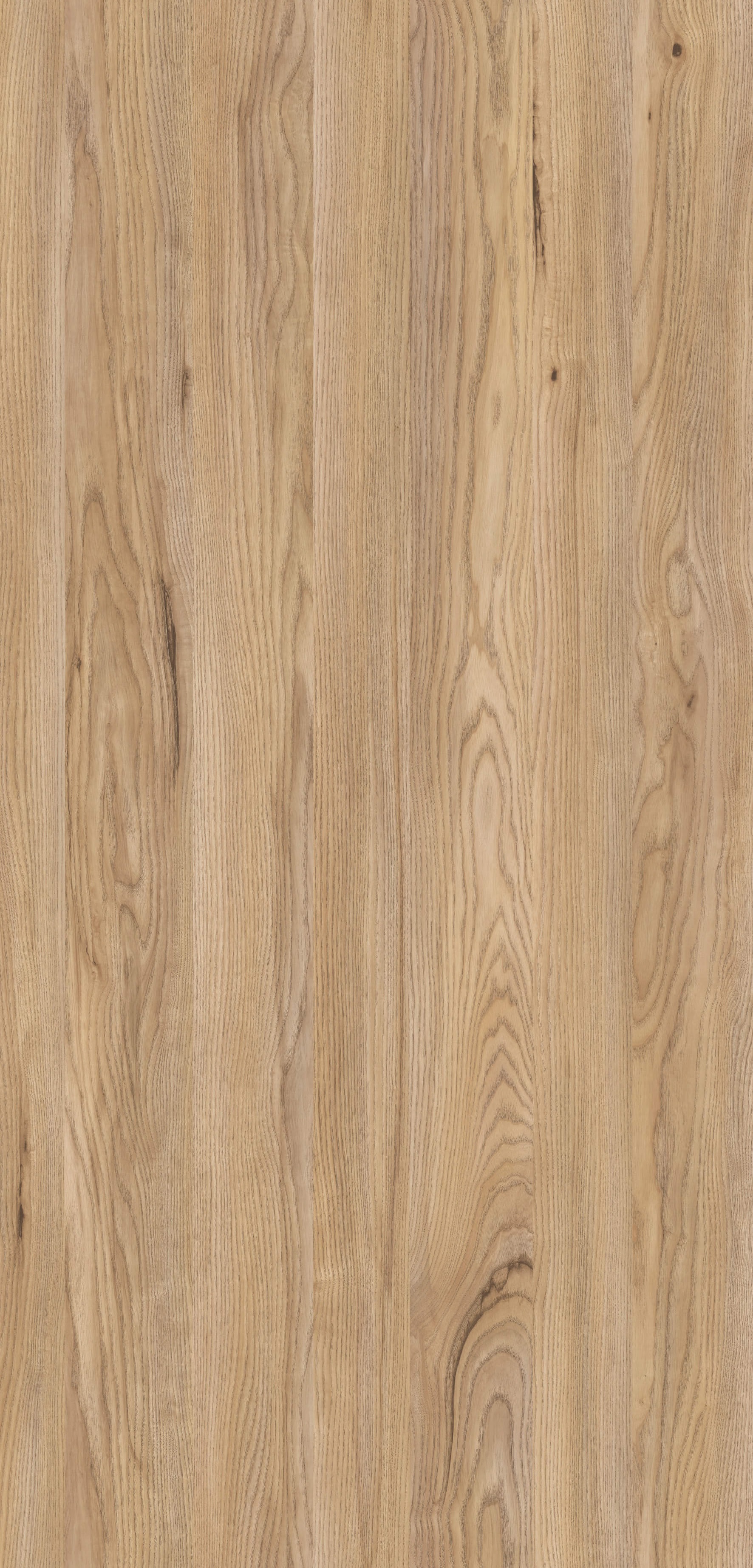 Jesion Górski R34033 NW