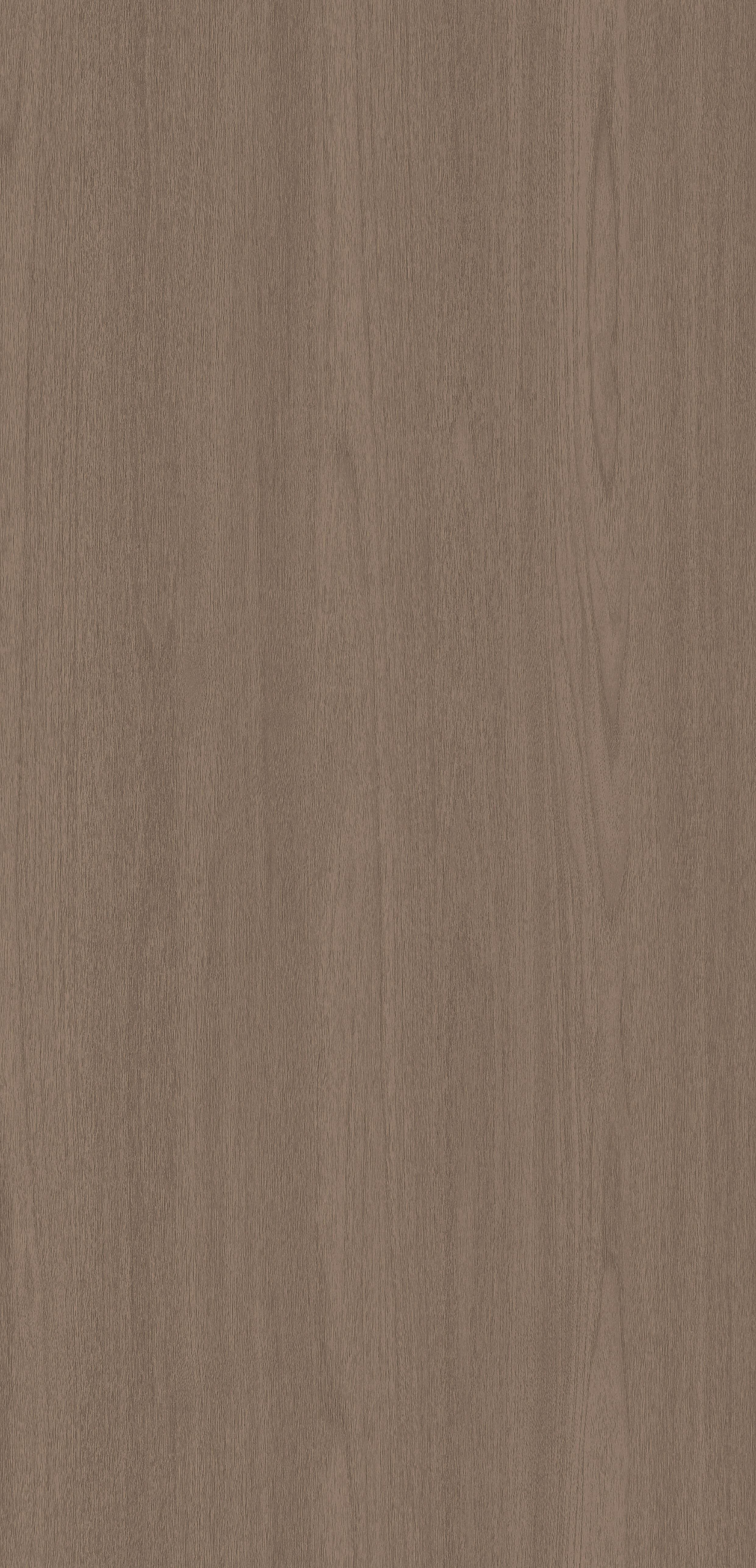 Laos Teak R50095 NW