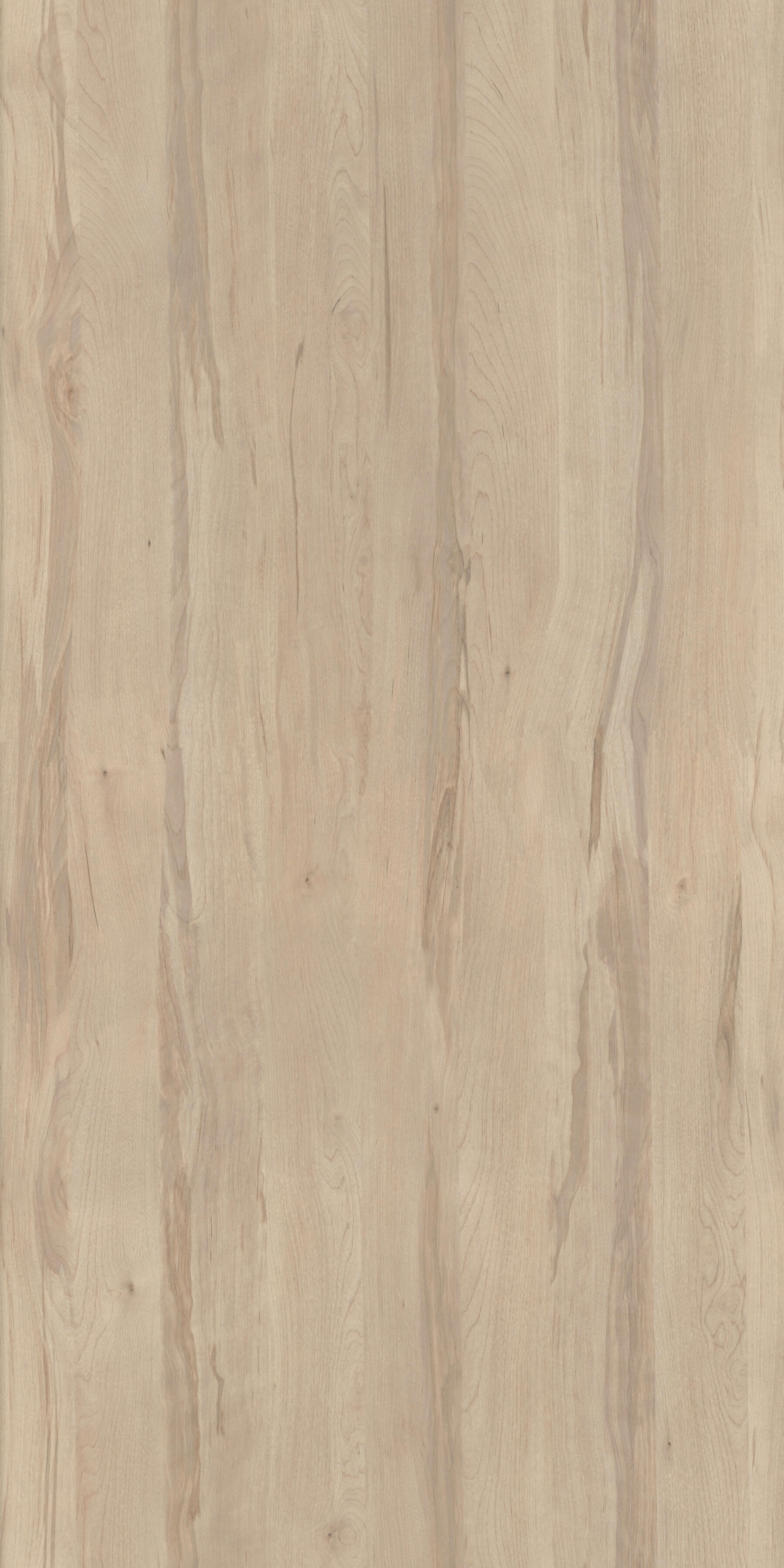 Brzoza Ojców R35013 LN