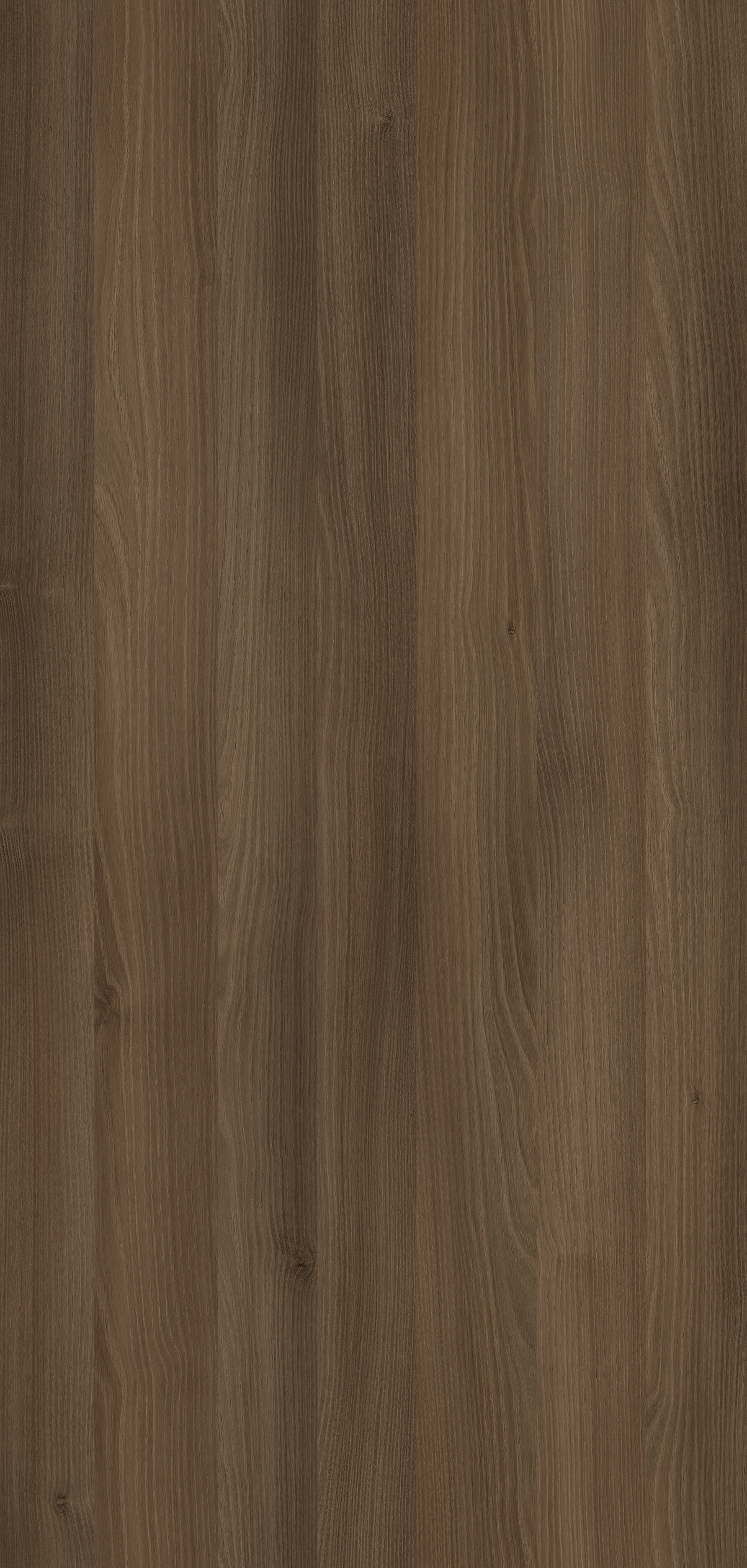 Akacja Cynamon R38004 LN