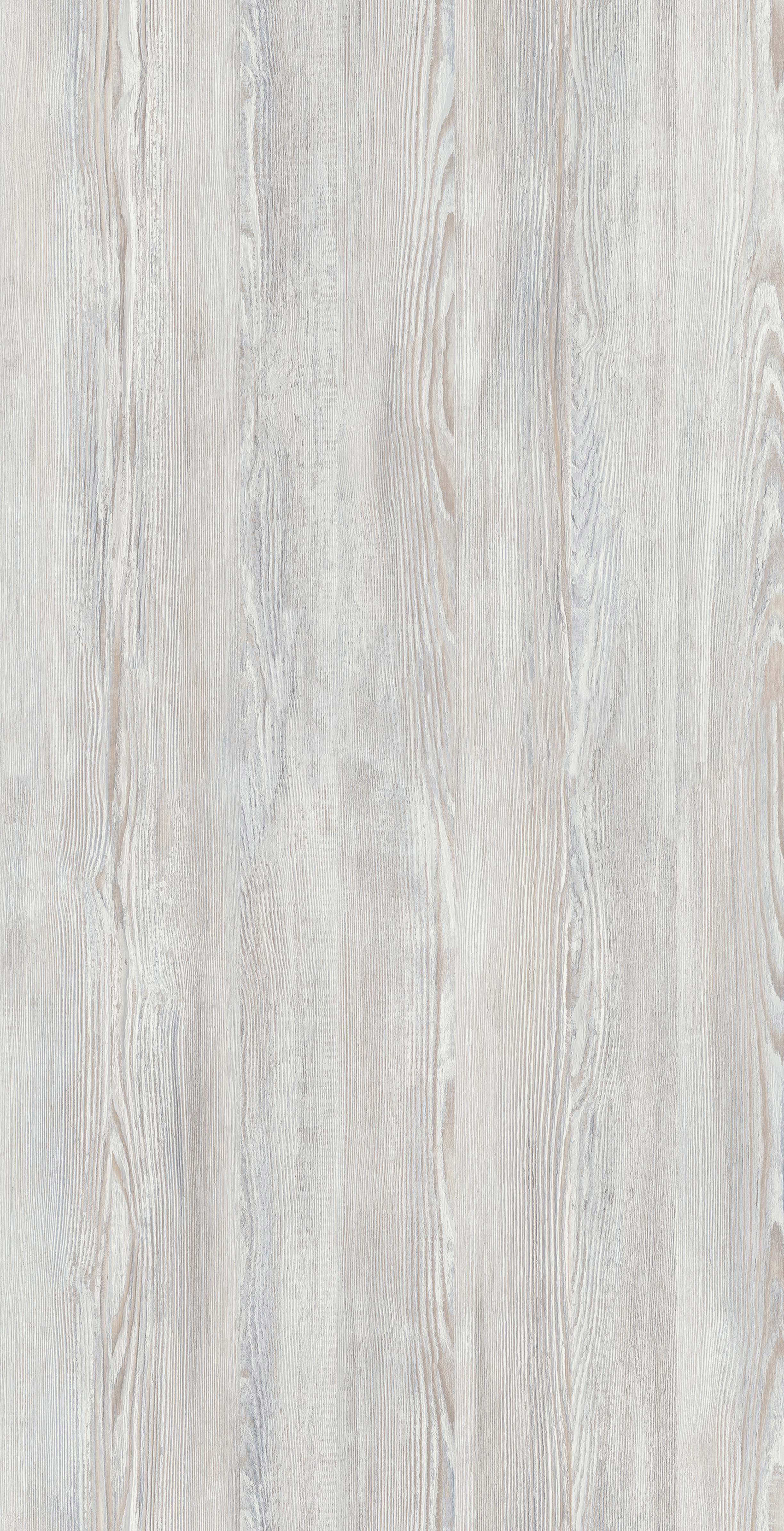 Sosna Słowiańska R55082 RU