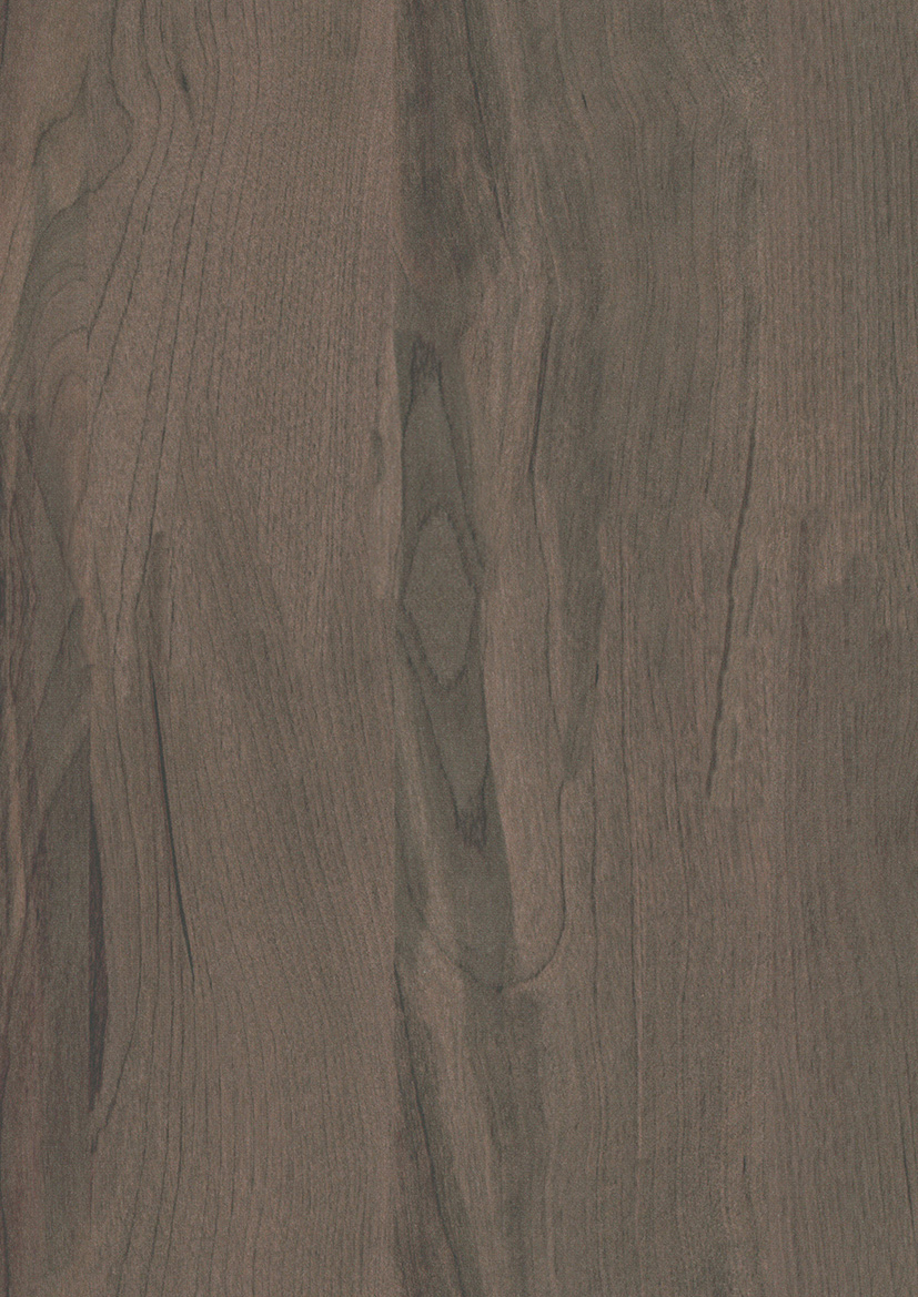 Brzoza Ojców Ciemna R35014 LN