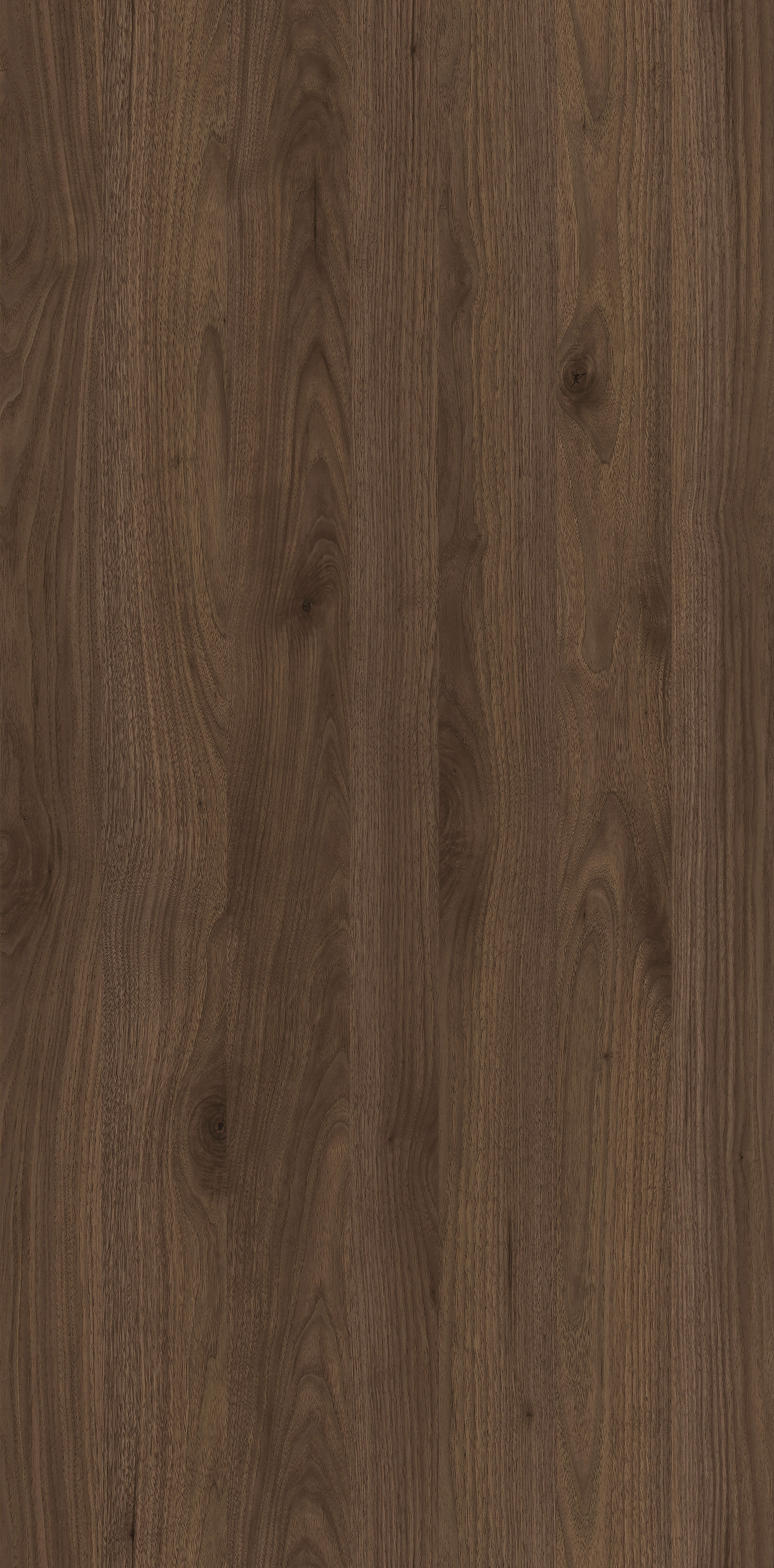 Orzech Okapi R30135 NW