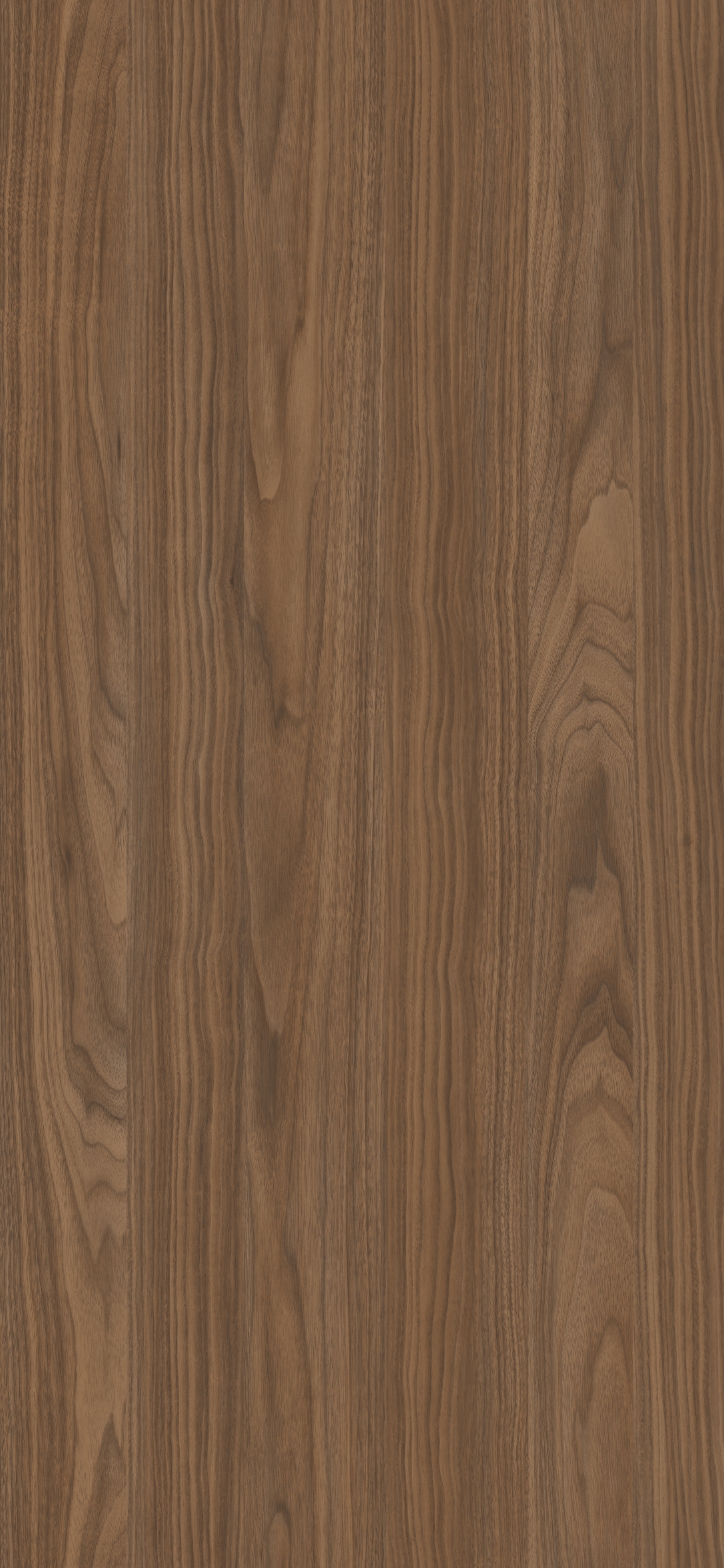 Orzech Wisconsin R30148 NW