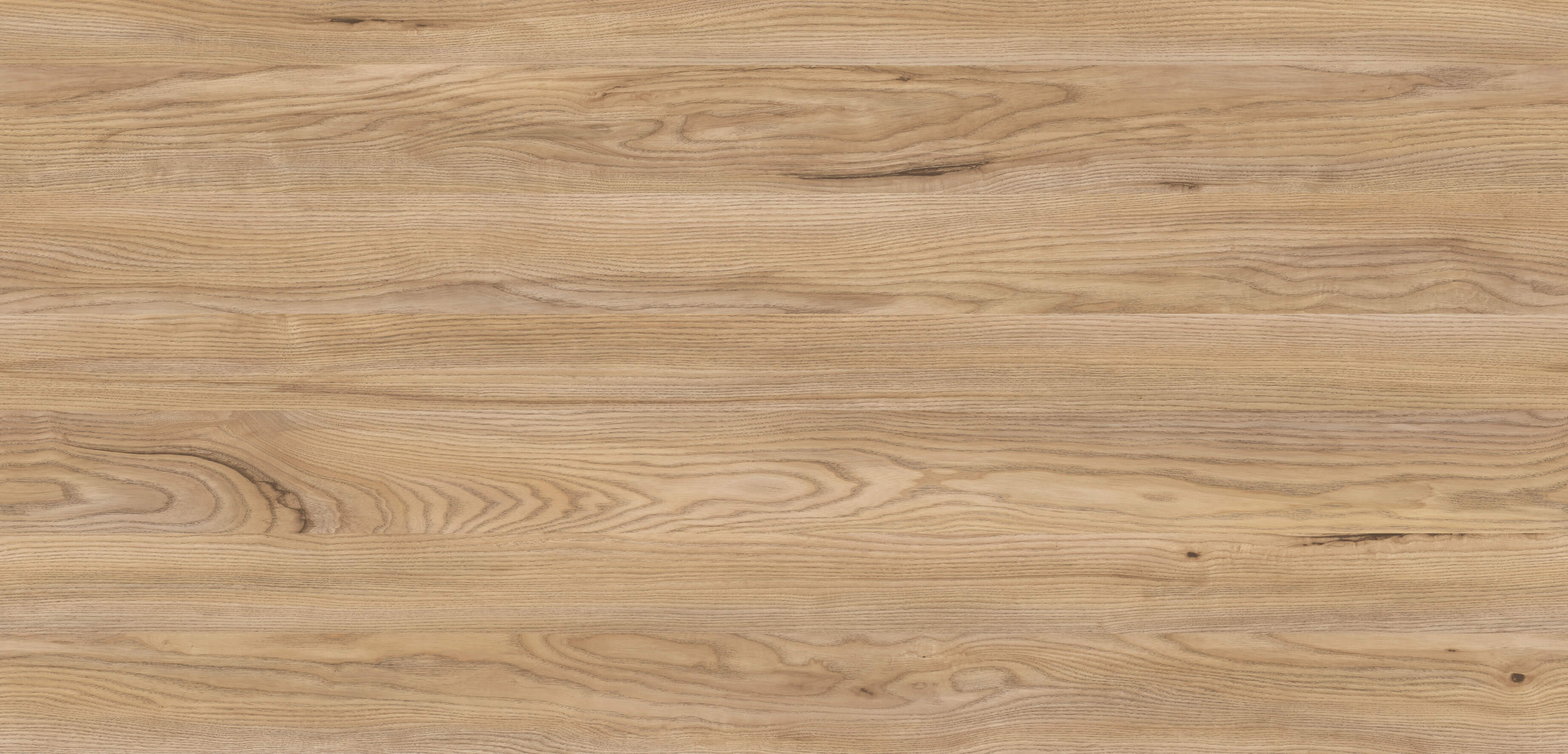 Jesion Górski R34033 NW