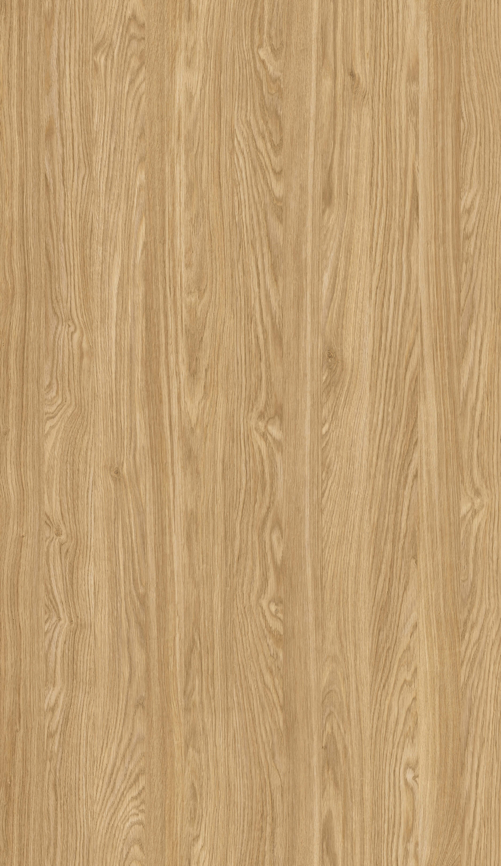 Dąb Olejowany R20348 NY