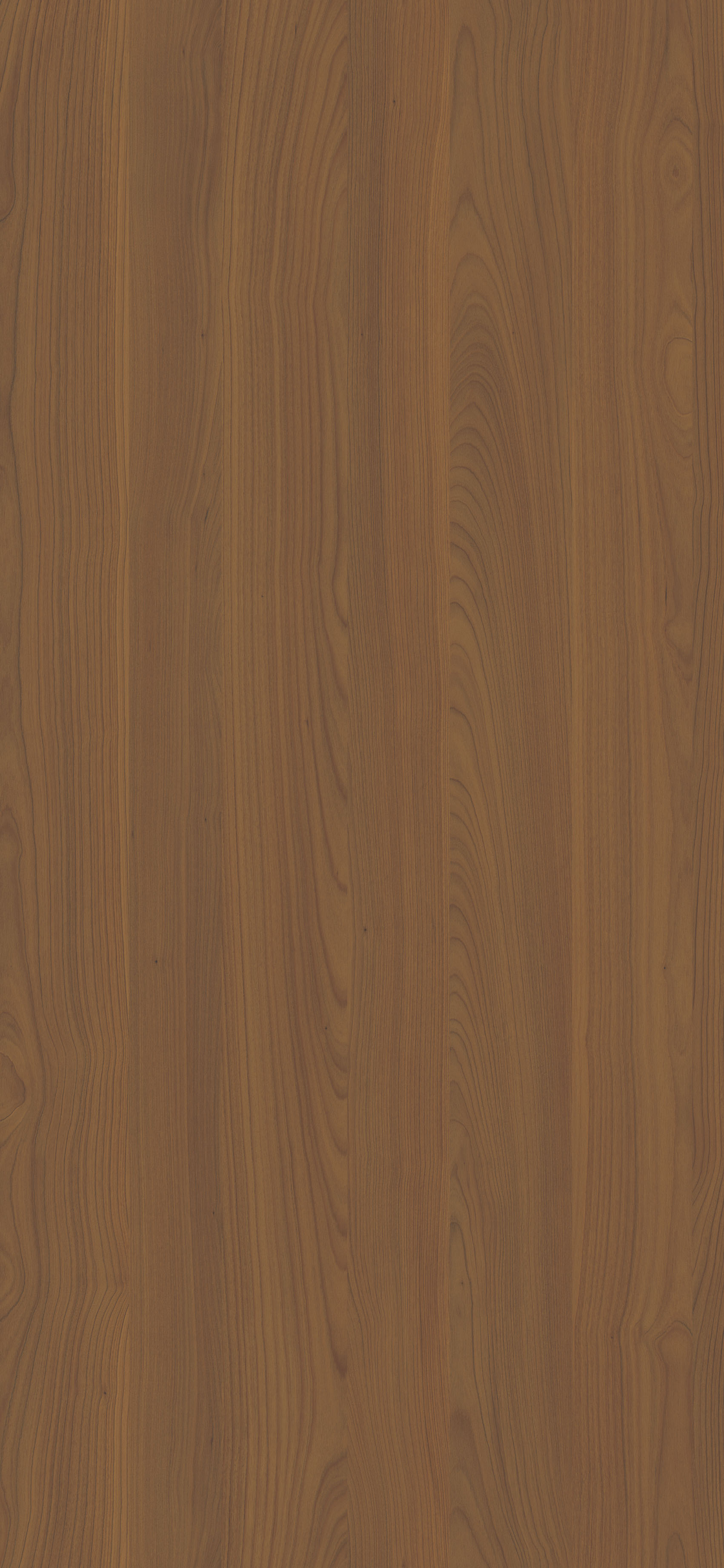 Wiśnia Porto R42055 NY