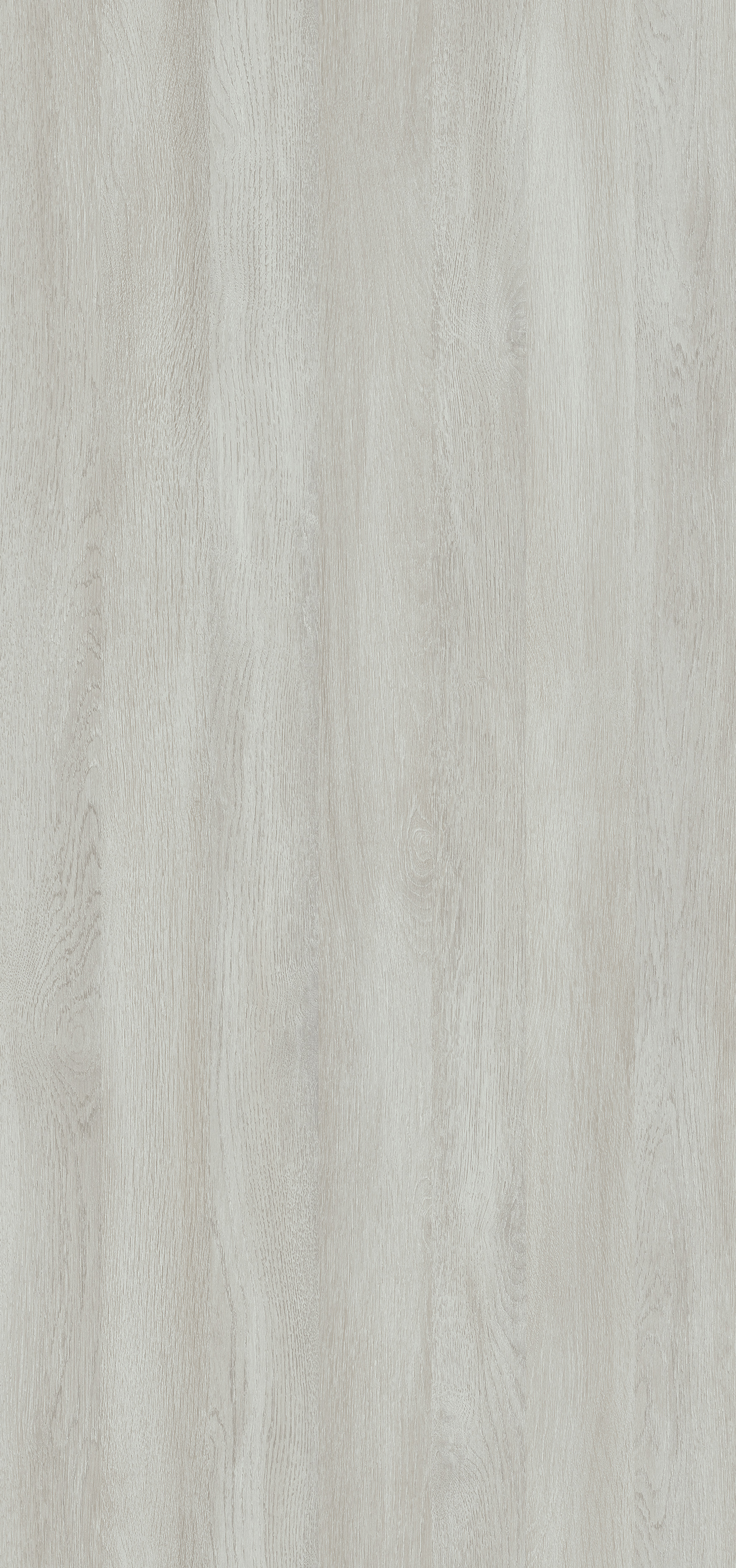 Dąb Wilton Biały R20284 SD