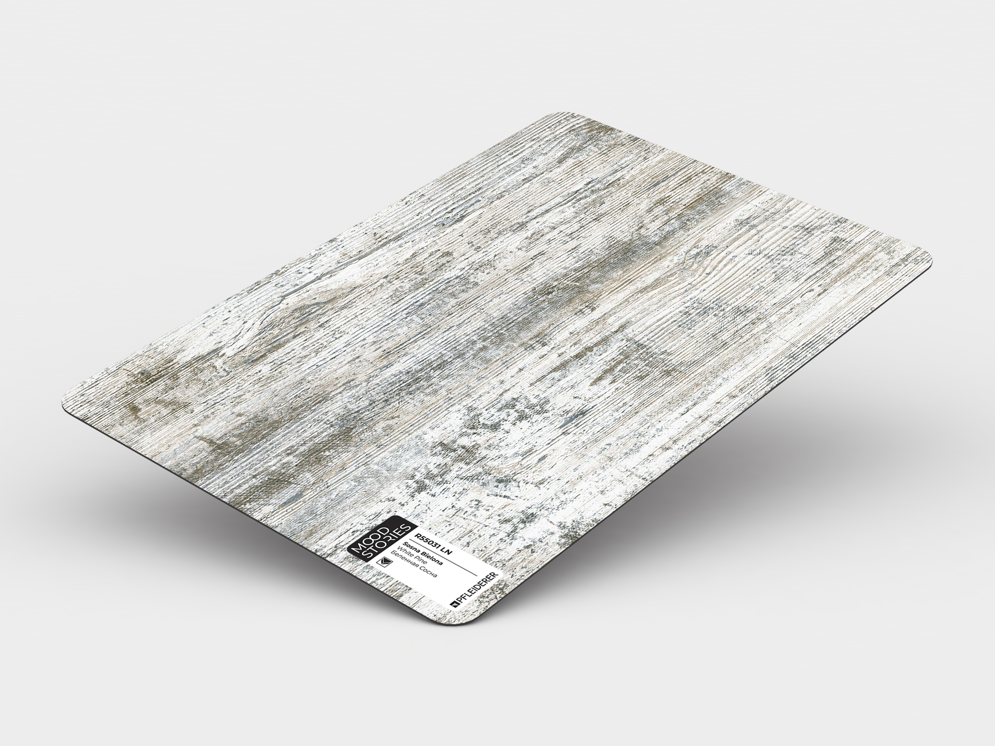 Sosna Bielona R55031 LN