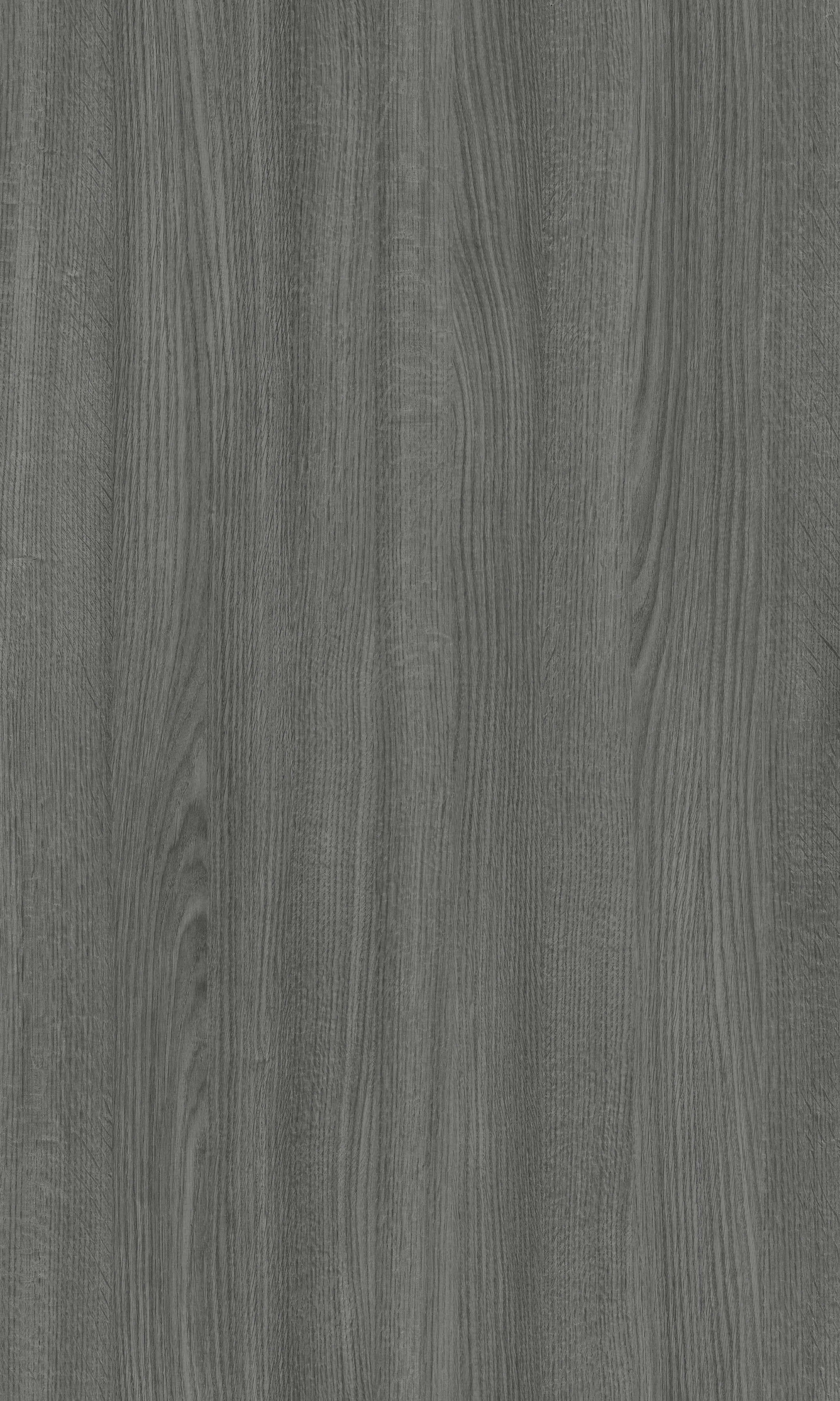 Dąb Srebrny R20320 NW