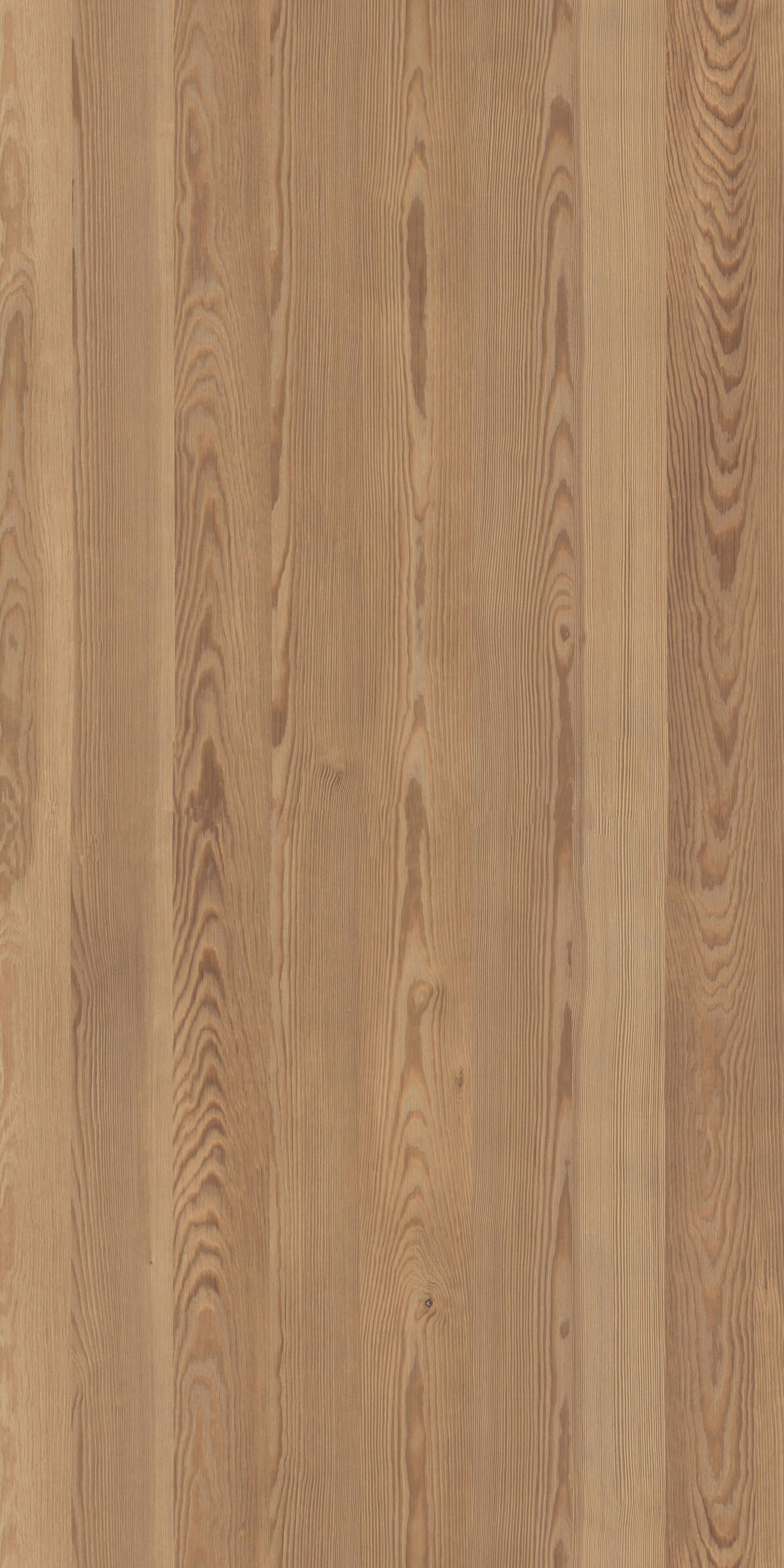 Cottage Pine R55023 RT