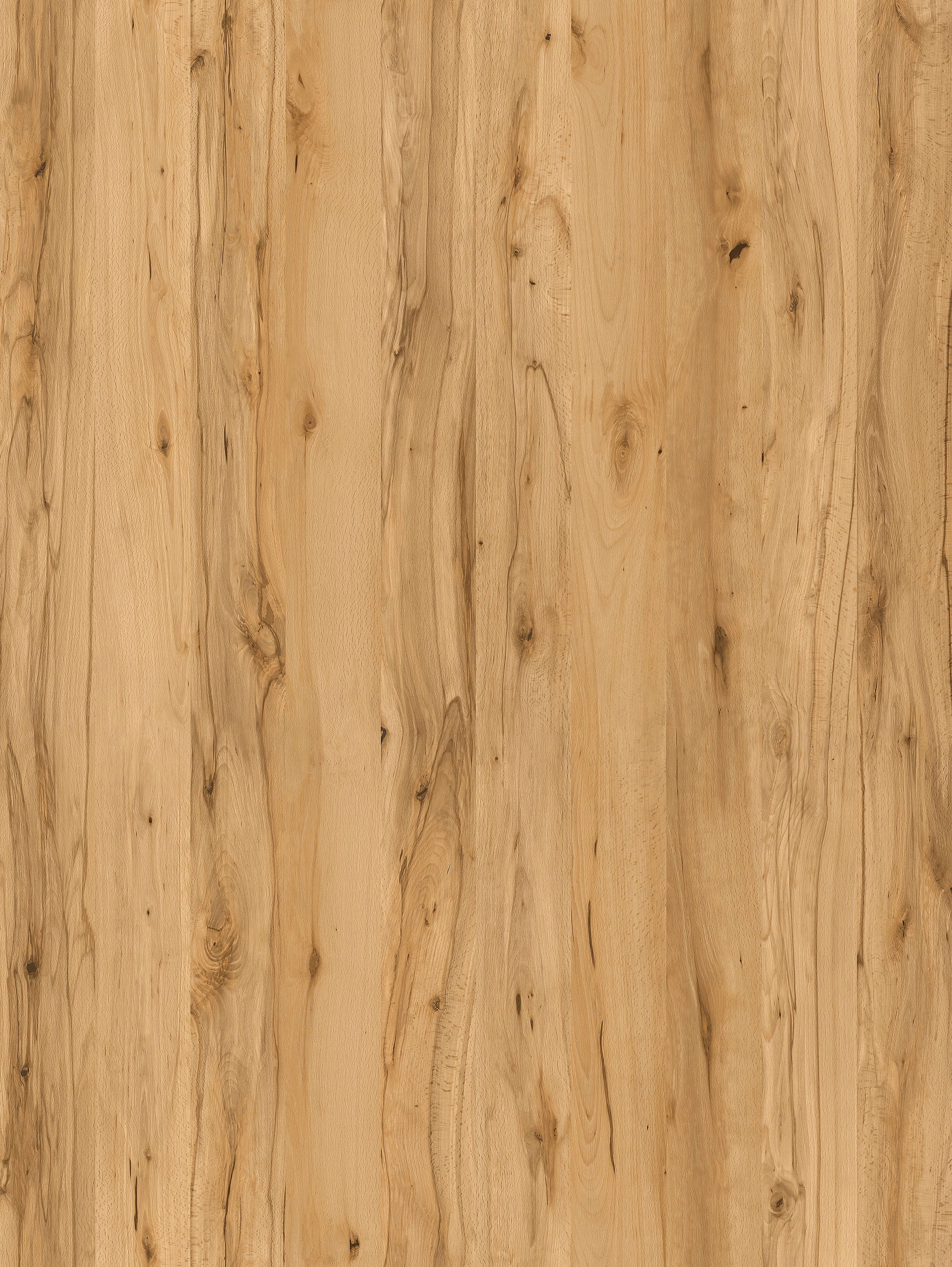 Buk Crenata Ciemny R24097 SD