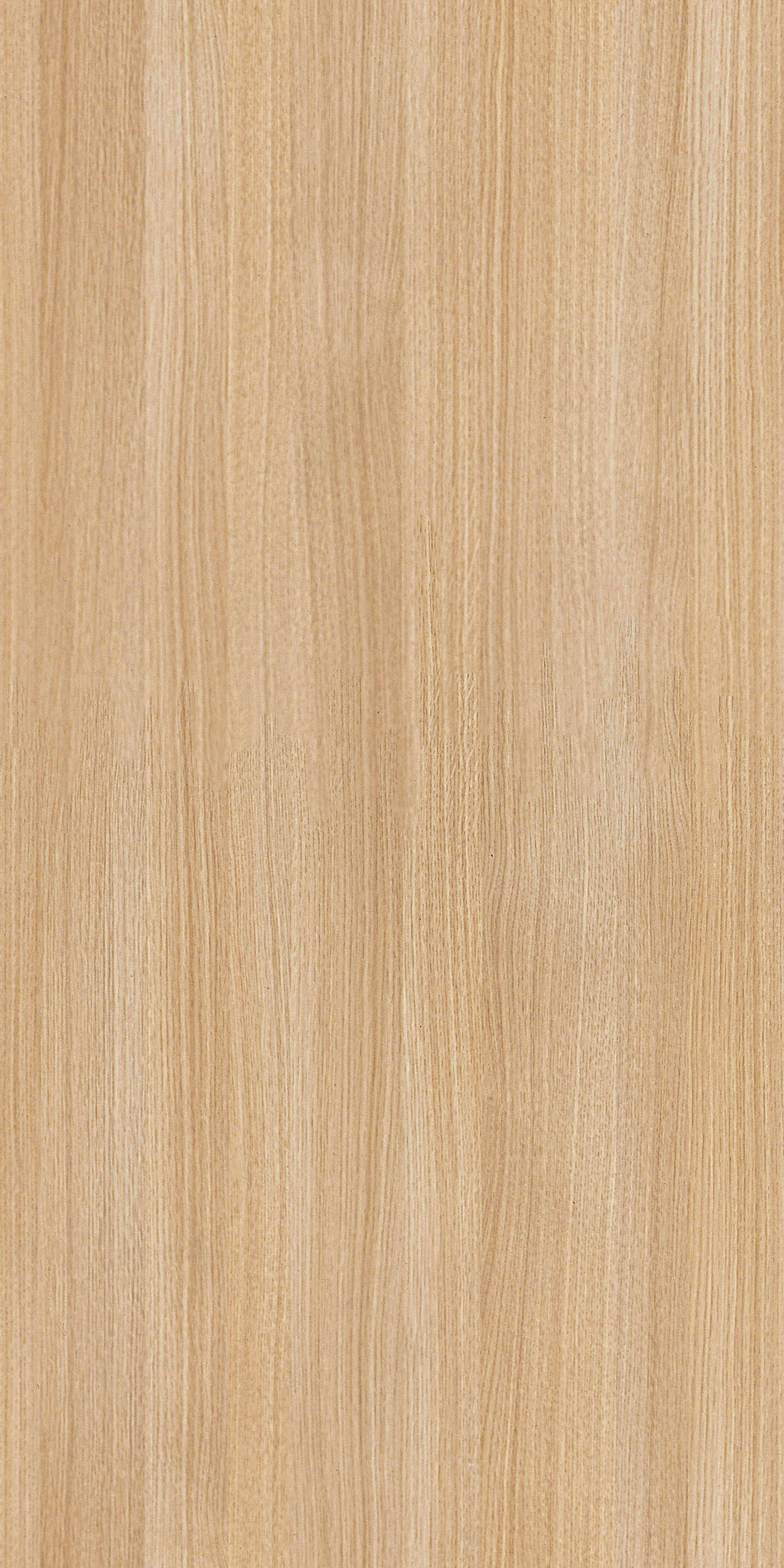 Dąb Milano R20095 MO